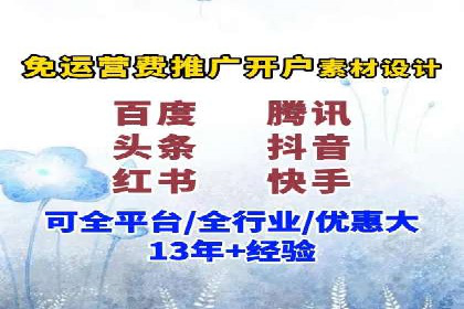 竞价推广策略：某电商平台的成功之路